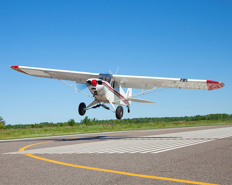 A plane lands on a runway.