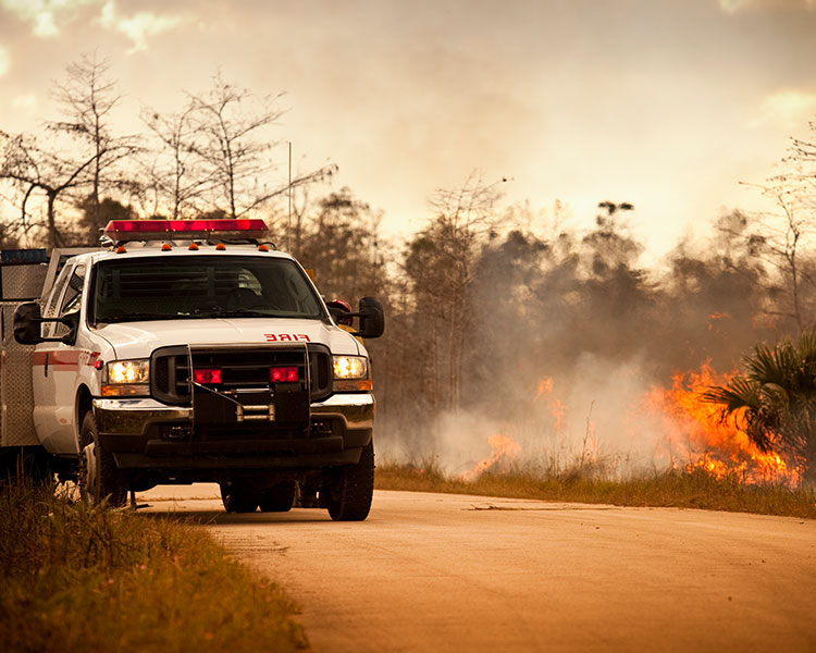 A truck near some burning bushes.