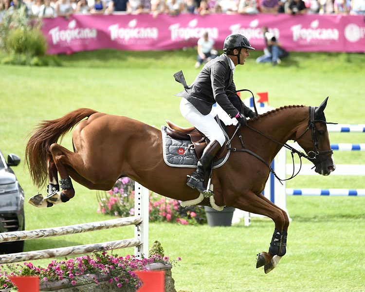 A man rides a horse, leaping over a hurdle.