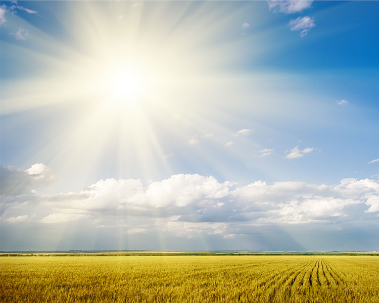 Bright sunny sky over a field