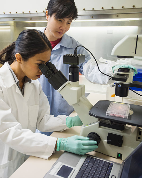 Two scientists using a microscope