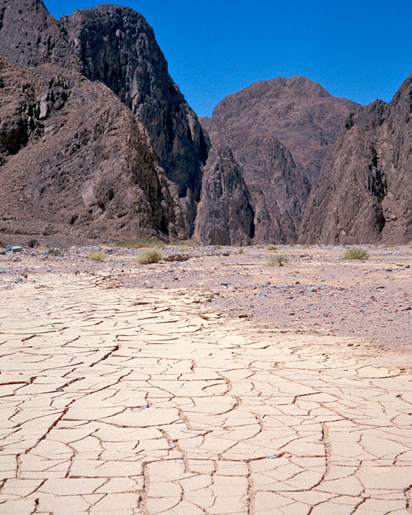 Dry arid land desert