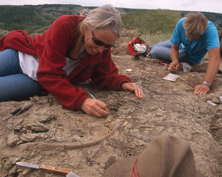 Photo of a scientist digging up fossils