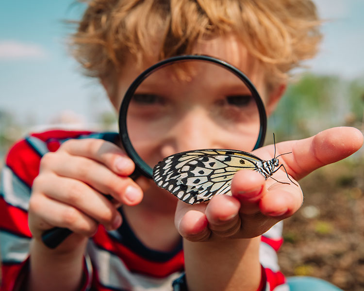 Photo of a kid examining a butterfly with a magnifying glass