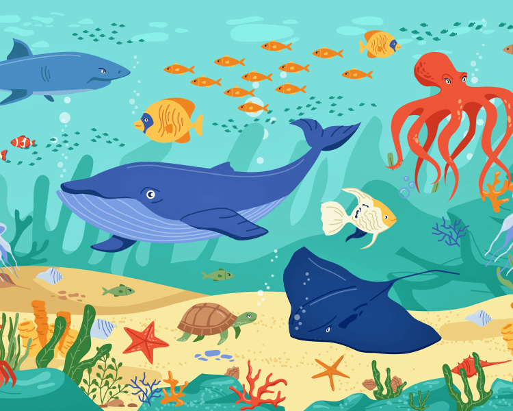 Illustration of a variety of ocean creatures living all together underwater