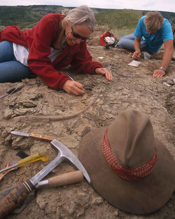 Photo of scientists digging up fossils